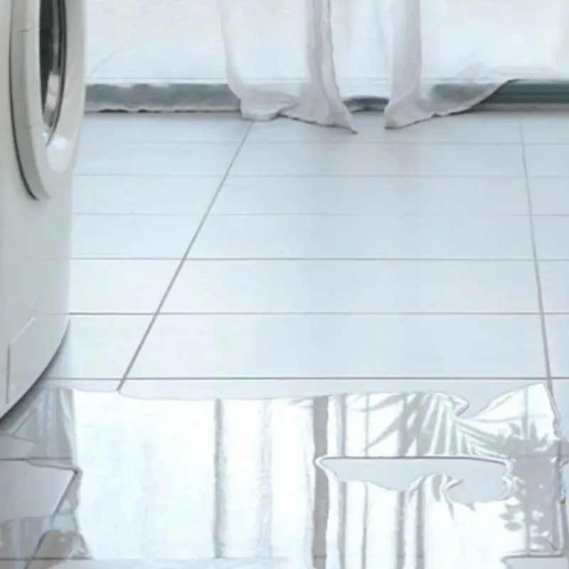 Appliance Leak Cleanup in Winchester, NV